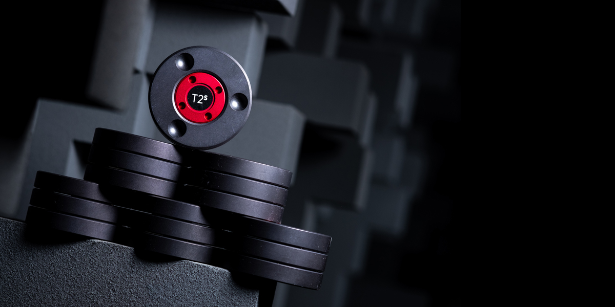Ansuz Darkz T2 Supreme Cable Lifter / Resonance Control